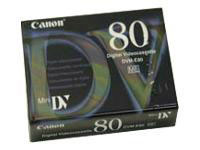 Canon DVM-E80 Digital Video Casette Camcorder (4254A001AA)